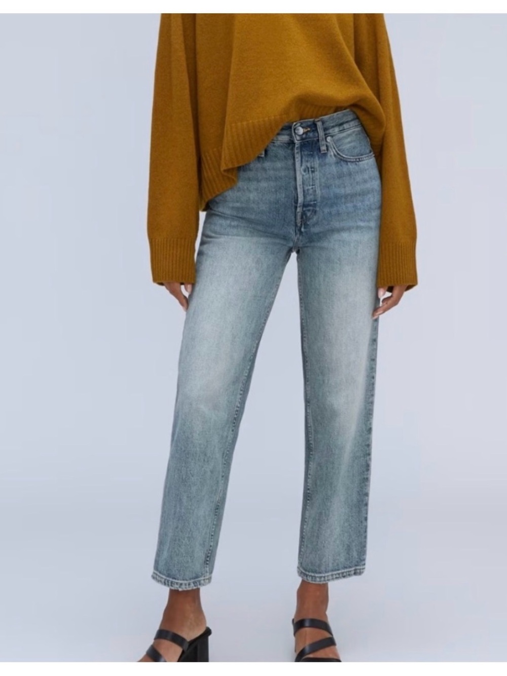 Everlane 90’s Way-High Jeans Size 26 Long